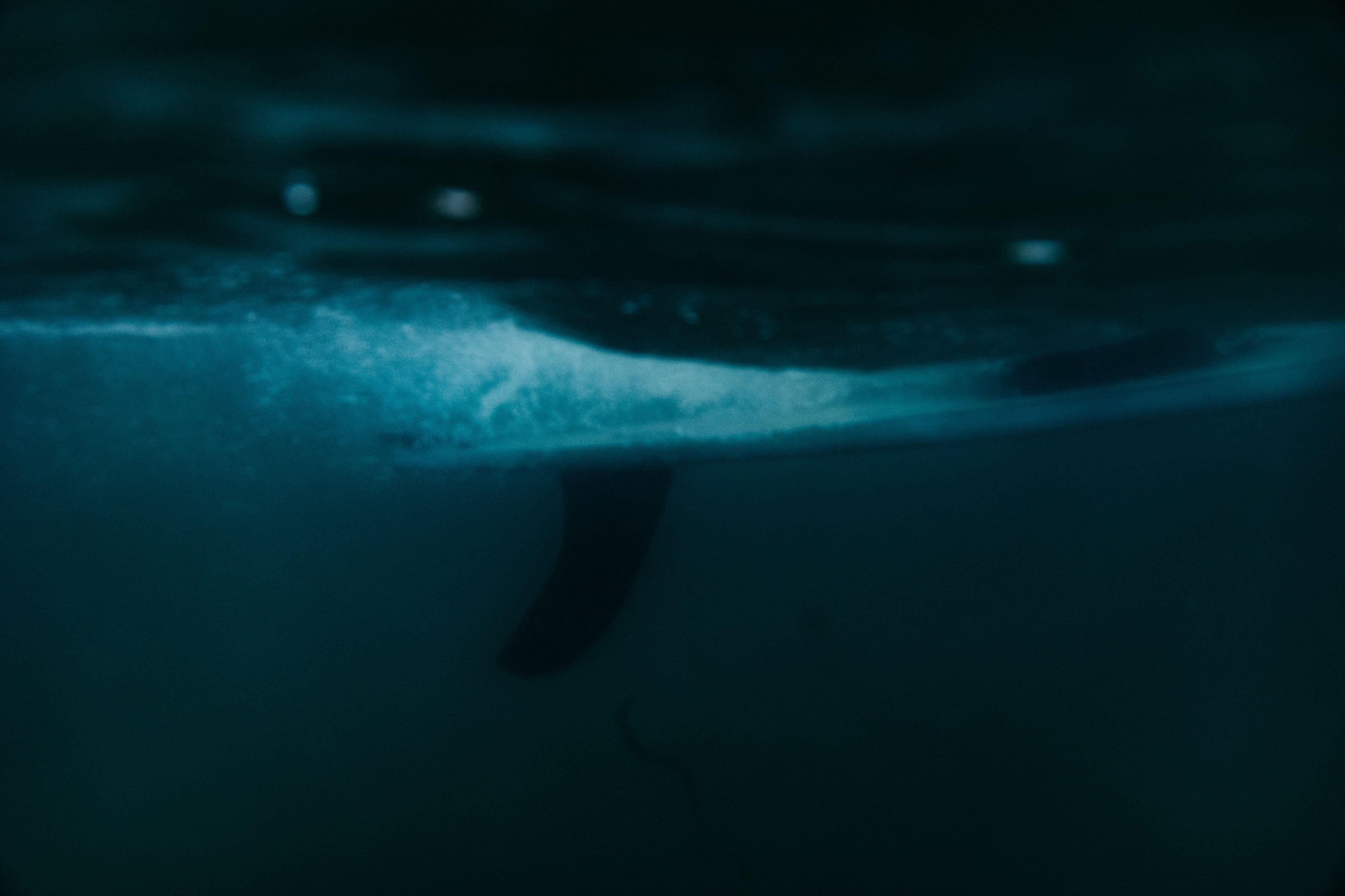 A dark underwater view of a board and fin moving through water.