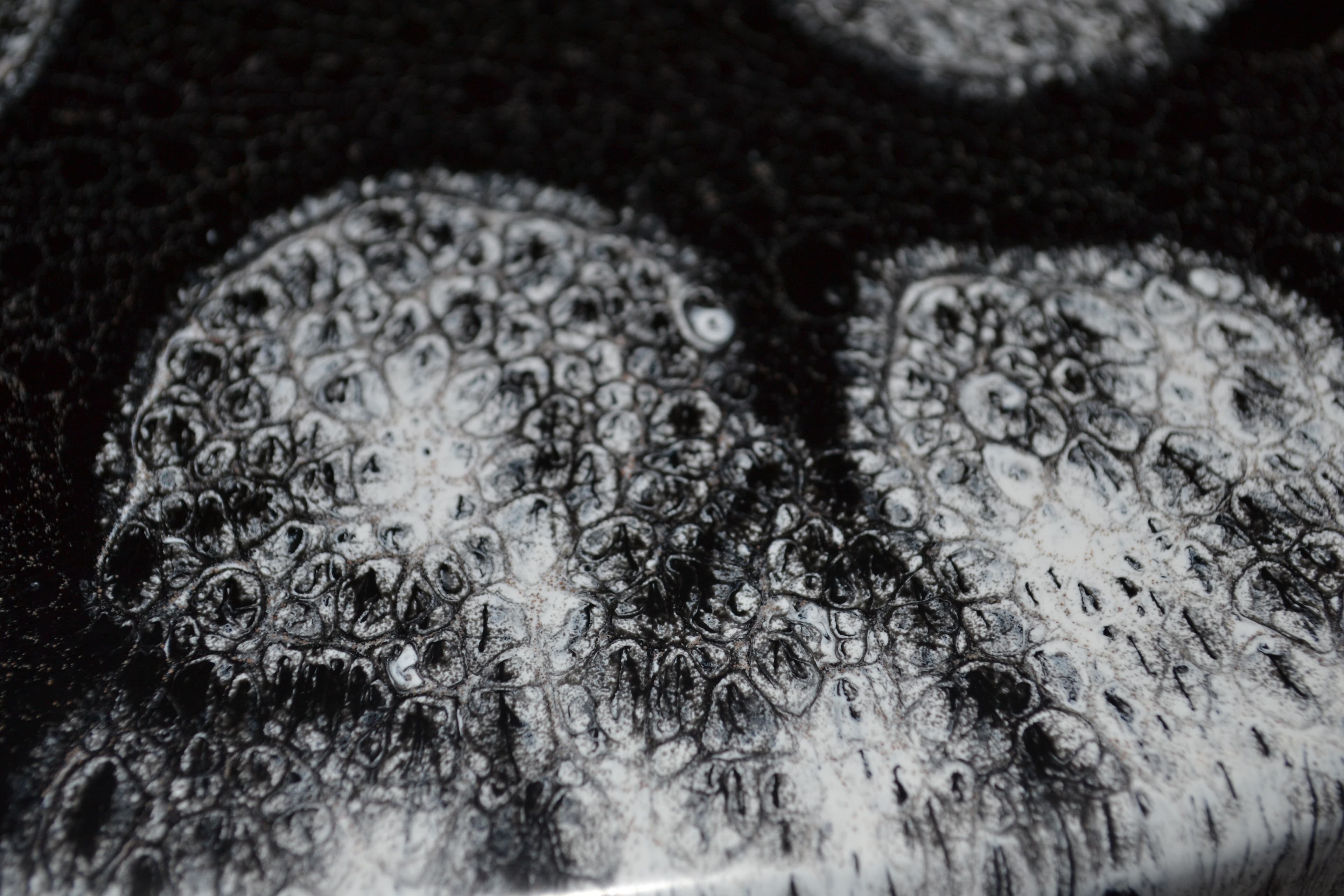 Macro detail of black and white resin surface.