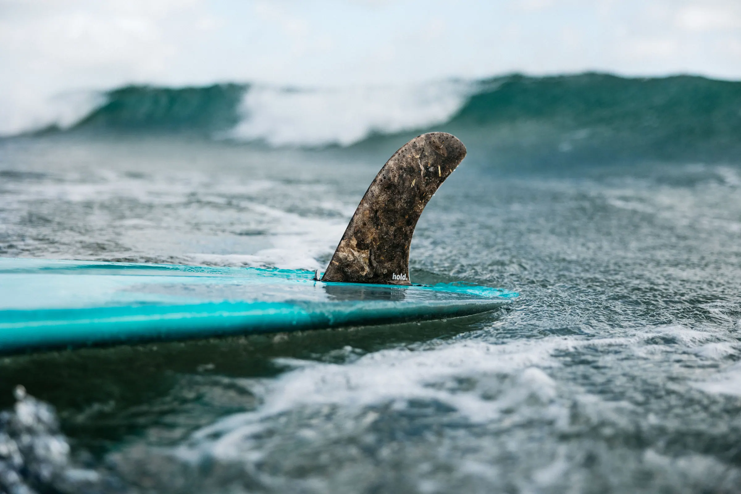 A Hold fin on a board with a wave rising behind it.